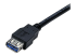 StarTech.com 6 ft Black SuperSpeed USB 3.0 Extension Cable A to A M/F - Närbild